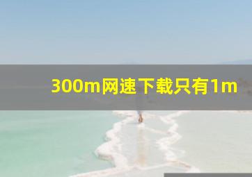 300m网速下载只有1m