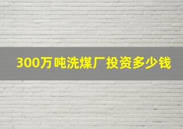 300万吨洗煤厂投资多少钱