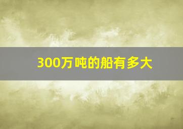 300万吨的船有多大