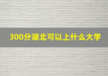 300分湖北可以上什么大学