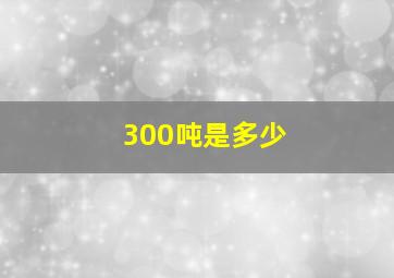 300吨是多少