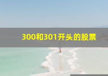 300和301开头的股票