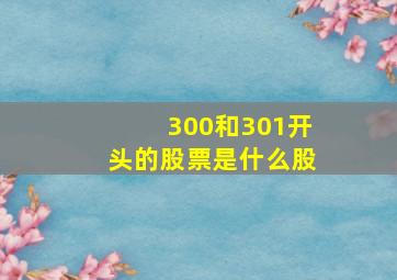 300和301开头的股票是什么股