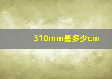 310mm是多少cm