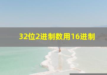 32位2进制数用16进制