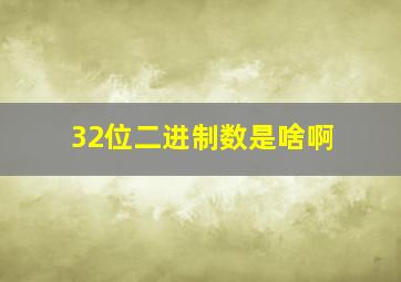 32位二进制数是啥啊