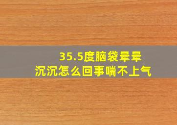 35.5度脑袋晕晕沉沉怎么回事喘不上气