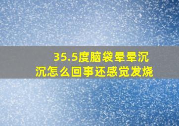 35.5度脑袋晕晕沉沉怎么回事还感觉发烧