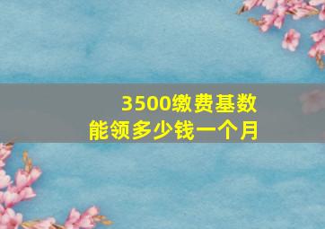 3500缴费基数能领多少钱一个月