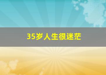 35岁人生很迷茫