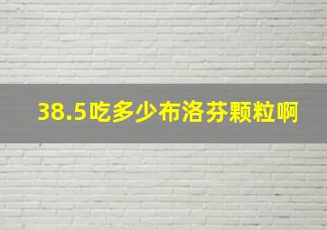 38.5吃多少布洛芬颗粒啊