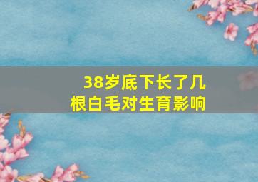 38岁底下长了几根白毛对生育影响