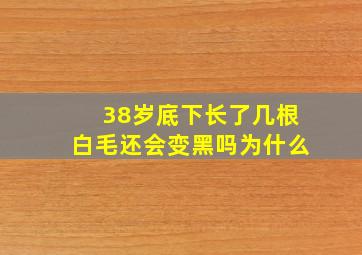 38岁底下长了几根白毛还会变黑吗为什么