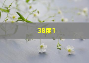 38度1