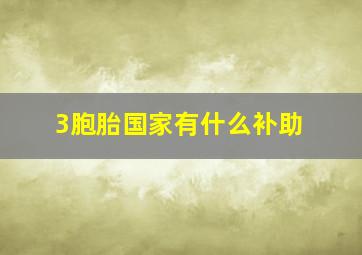 3胞胎国家有什么补助