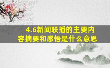 4.6新闻联播的主要内容摘要和感悟是什么意思