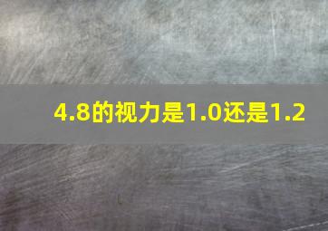 4.8的视力是1.0还是1.2