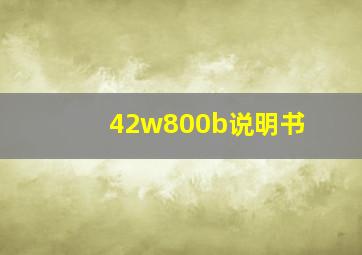 42w800b说明书