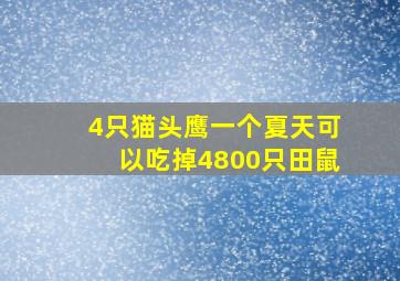 4只猫头鹰一个夏天可以吃掉4800只田鼠