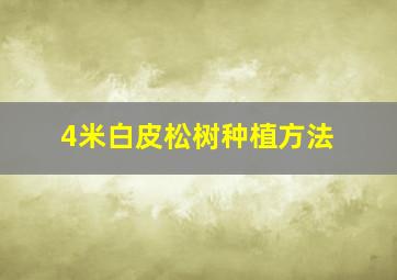 4米白皮松树种植方法