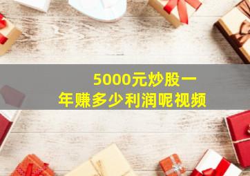 5000元炒股一年赚多少利润呢视频