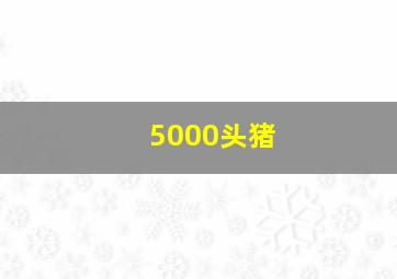 5000头猪