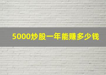 5000炒股一年能赚多少钱