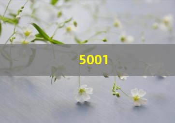 5001