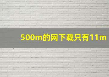 500m的网下载只有11m