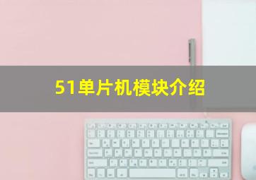 51单片机模块介绍