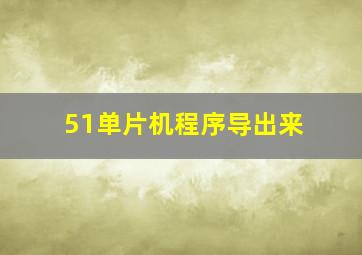 51单片机程序导出来