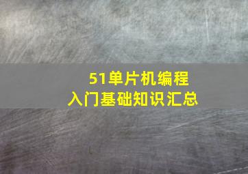 51单片机编程入门基础知识汇总