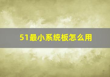 51最小系统板怎么用