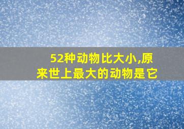 52种动物比大小,原来世上最大的动物是它