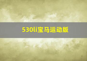 530li宝马运动版