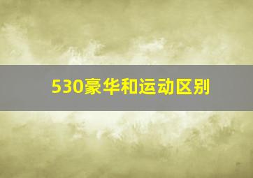 530豪华和运动区别