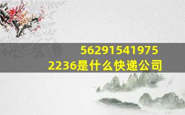 562915419752236是什么快递公司