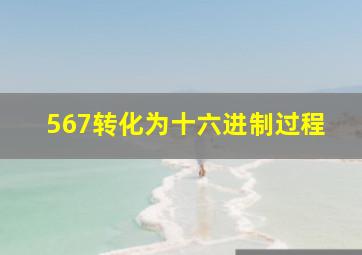 567转化为十六进制过程