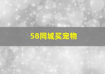 58同城买宠物