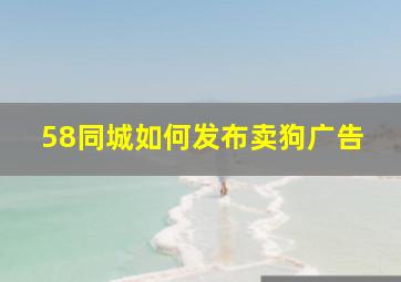 58同城如何发布卖狗广告