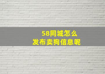 58同城怎么发布卖狗信息呢