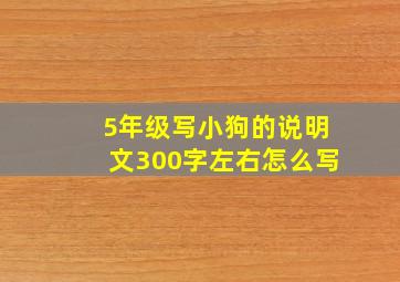 5年级写小狗的说明文300字左右怎么写