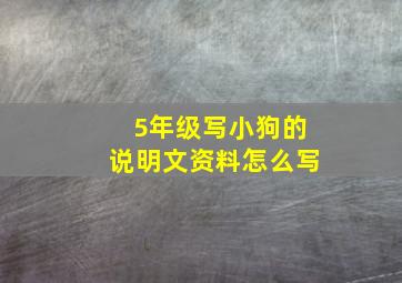 5年级写小狗的说明文资料怎么写