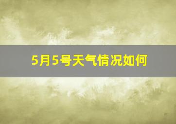 5月5号天气情况如何