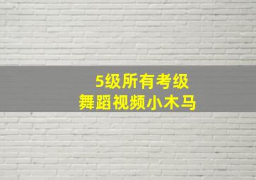 5级所有考级舞蹈视频小木马