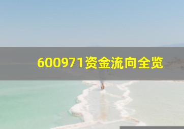 600971资金流向全览