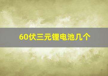 60伏三元锂电池几个