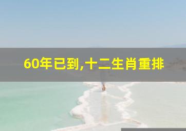 60年已到,十二生肖重排