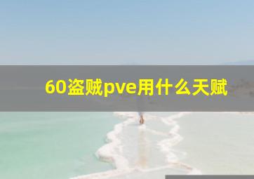 60盗贼pve用什么天赋