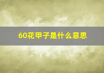 60花甲子是什么意思